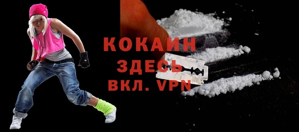твердый Алзамай
