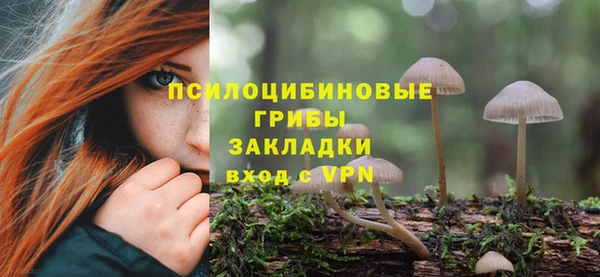 твердый Алзамай