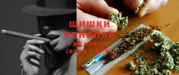 твердый Алзамай