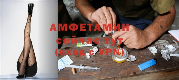 твердый Алзамай