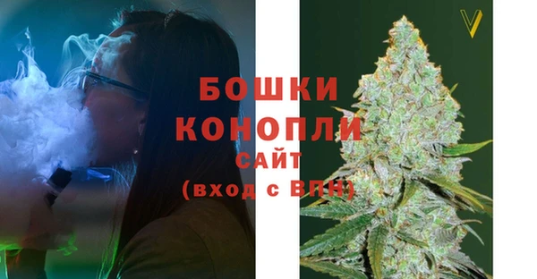 молекула духа Алексин