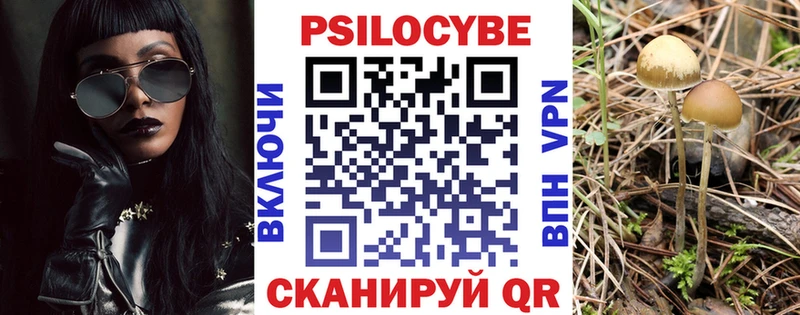 купить  цена  Нижние Серги  Псилоцибиновые грибы Psilocybe 
